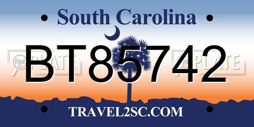 BT85742 South Carolina License Plate