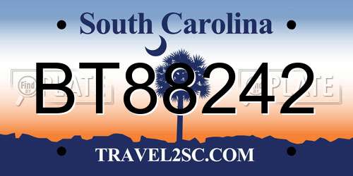 BT88242 South Carolina License Plate