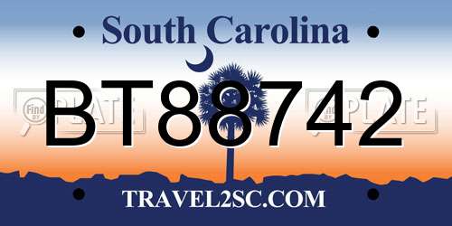 BT88742 South Carolina License Plate