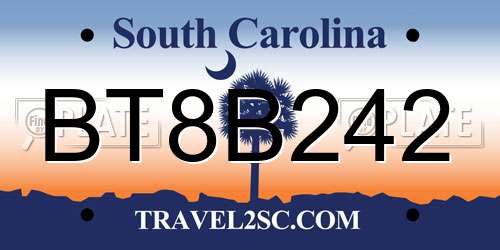 BT8B242 South Carolina License Plate