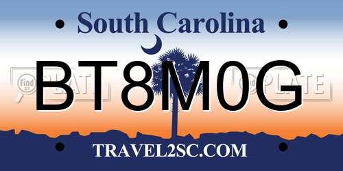 BT8M0G South Carolina License Plate