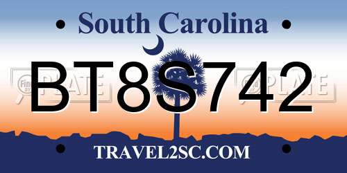 BT8S742 South Carolina License Plate