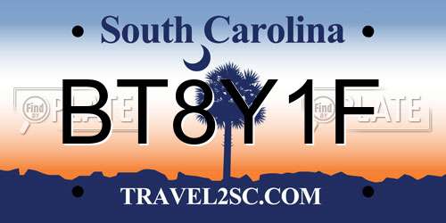 BT8Y1F South Carolina License Plate