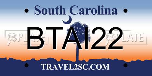 BTAI22 South Carolina License Plate