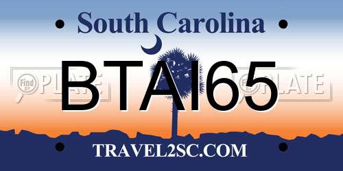 BTAI65 South Carolina License Plate