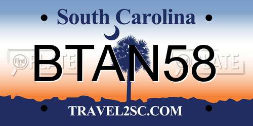 BTAN58 South Carolina License Plate