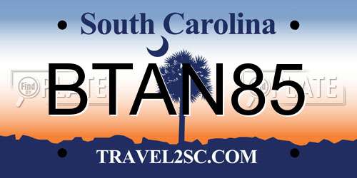 BTAN85 South Carolina License Plate