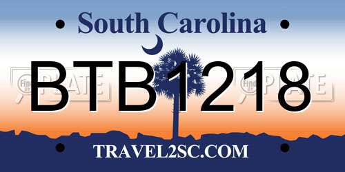 BTB1218 South Carolina License Plate