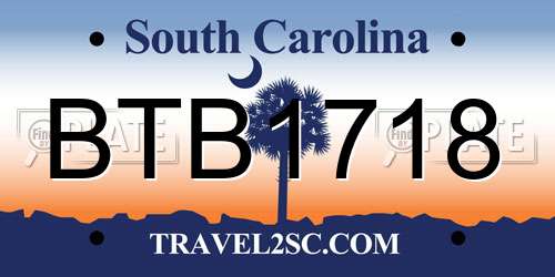 BTB1718 South Carolina License Plate