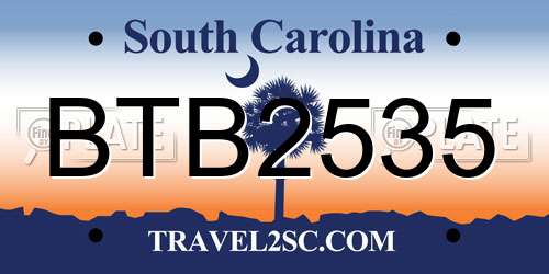 BTB2535 South Carolina License Plate