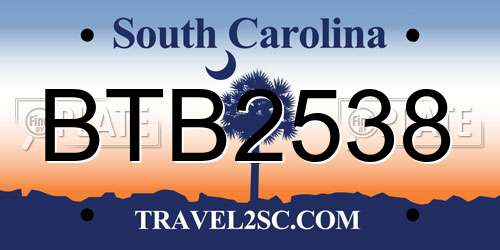 BTB2538 South Carolina License Plate