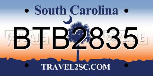 BTB2835 South Carolina License Plate