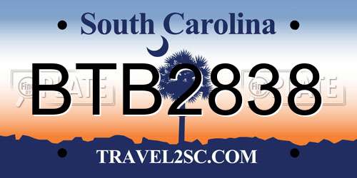 BTB2838 South Carolina License Plate