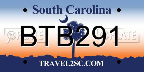 BTB291 South Carolina License Plate