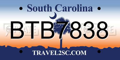 BTB7838 South Carolina License Plate