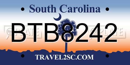 BTB8242 South Carolina License Plate
