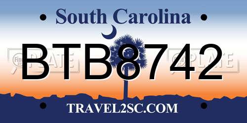 BTB8742 South Carolina License Plate