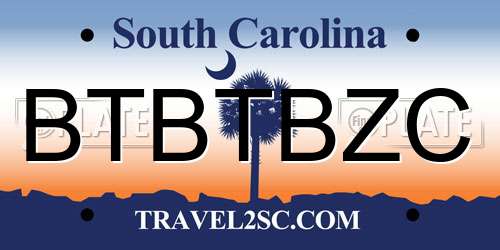 BTBTBZC South Carolina License Plate