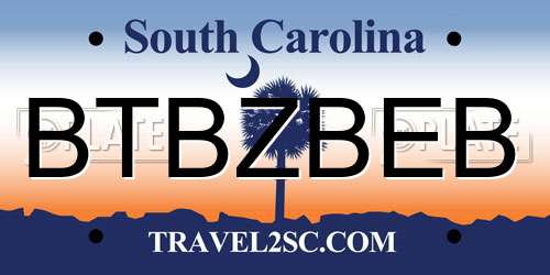 BTBZBEB South Carolina License Plate