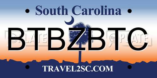BTBZBTC South Carolina License Plate