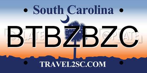 BTBZBZC South Carolina License Plate