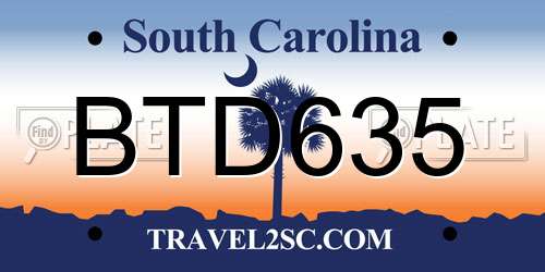 BTD635 South Carolina License Plate