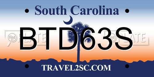 BTD63S South Carolina License Plate