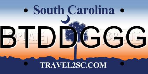 BTDDGGG South Carolina License Plate
