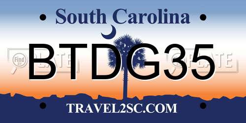 BTDG35 South Carolina License Plate