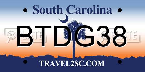 BTDG38 South Carolina License Plate