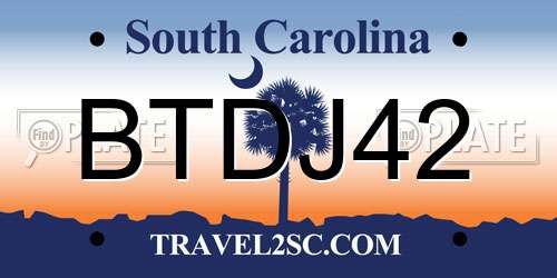 BTDJ42 South Carolina License Plate