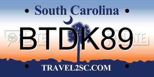 BTDK89 South Carolina License Plate