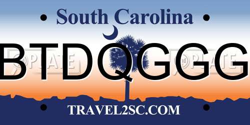BTDQGGG South Carolina License Plate