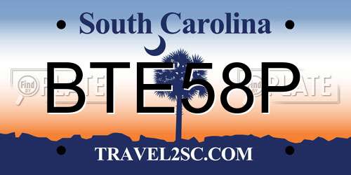 BTE58P South Carolina License Plate