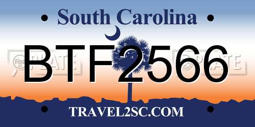 BTF2566 South Carolina License Plate