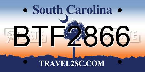 BTF2866 South Carolina License Plate
