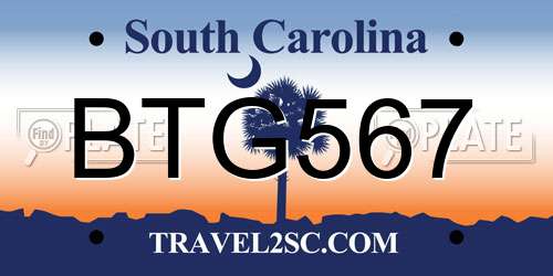 BTG567 South Carolina License Plate
