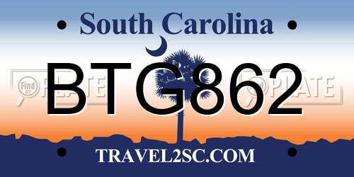 BTG862 South Carolina License Plate