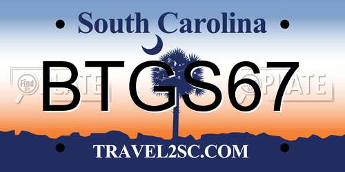 BTGS67 South Carolina License Plate