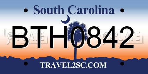 BTH0842 South Carolina License Plate