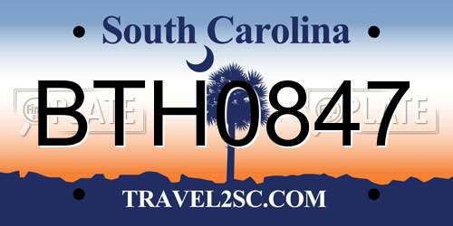 BTH0847 South Carolina License Plate