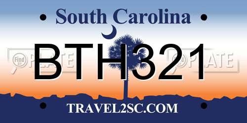 BTH321 South Carolina License Plate