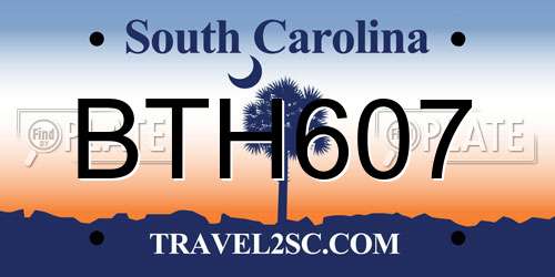 BTH607 South Carolina License Plate