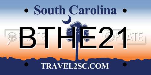 BTHE21 South Carolina License Plate