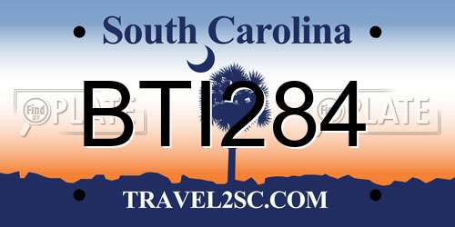 BTI284 South Carolina License Plate