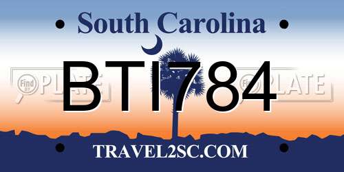 BTI784 South Carolina License Plate