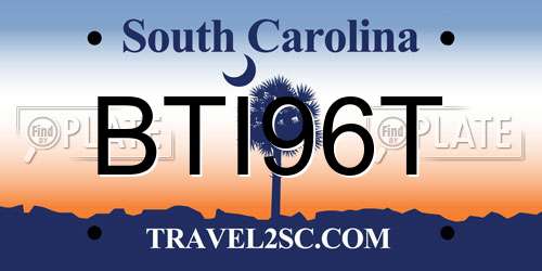 BTI96T South Carolina License Plate