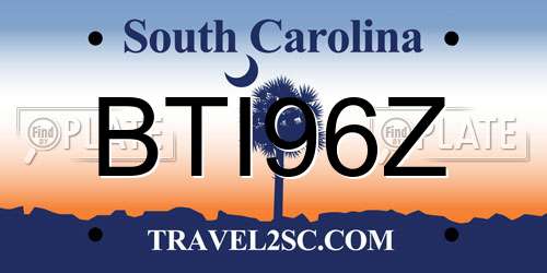 BTI96Z South Carolina License Plate
