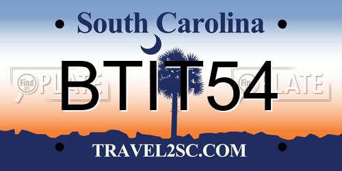 BTIT54 South Carolina License Plate