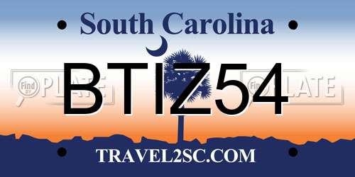 BTIZ54 South Carolina License Plate